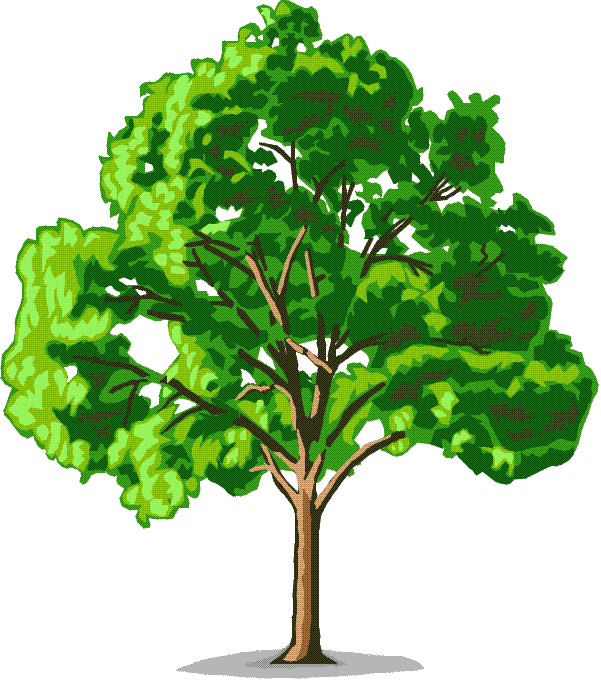 eco tree